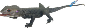 Realistic grey spinny lizard toy, posed in a natural, crawling stance for Mamejo MAJ22641