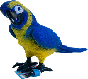Macaw Bird | MAJ23201 | Mamejo