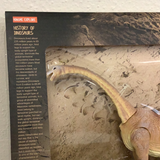Articulating Brachiosaurus Dinosaur-IMEX-[variant_title]-ProTinkerToys