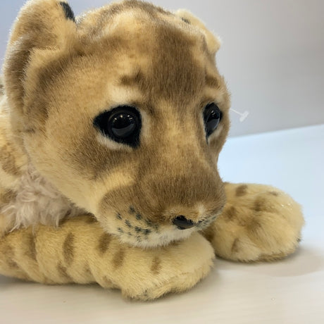 19" Baby Groveling Lioness   | LC48 | Real Planet-Real Planet-[variant_title]-ProTinkerToys