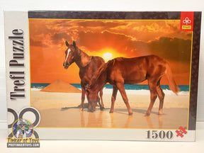 Two brown stallions stand on a beach at sunset for Trefl TRF26093
