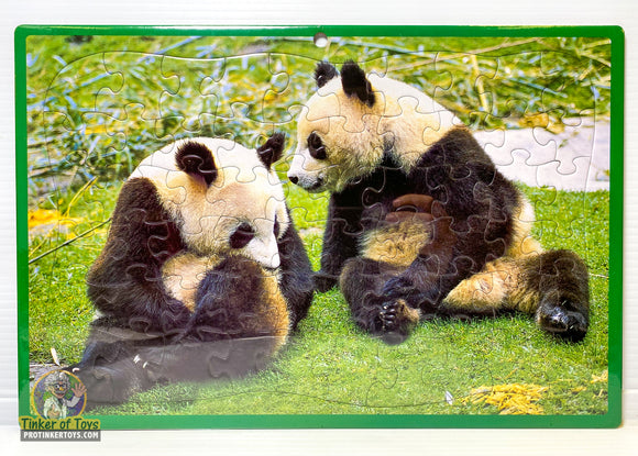 Pandas | 60004 | Timmy-IMEX-Puzzles-[variant_title]-ProTinkerToys