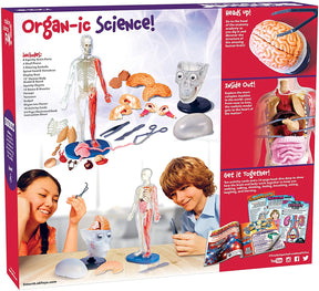 Science kit showing anatomy models and learning activities for kids for Smart Lab 00328