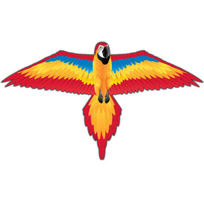 Colorful macaw kite flying with outstretched wings for Brain Storm 82226
