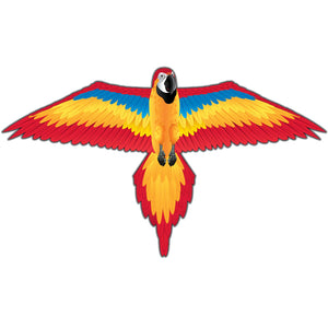 Macaw DLX Nylon Kite WindZone | 82226 | Brain Storm